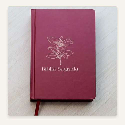 Bíblia Feminina — capa e acabamento