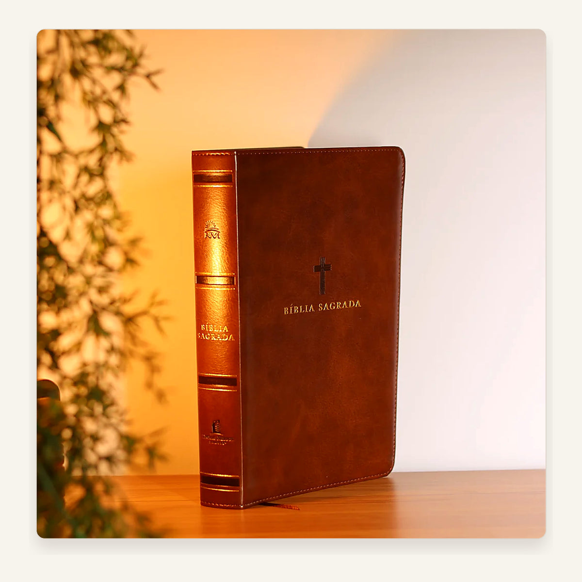 Bíblia Sagrada NVI Leitura Perfeita — capa e acabamento