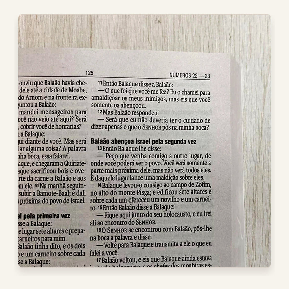 Bíblia Orquídeas — interior e detalhes