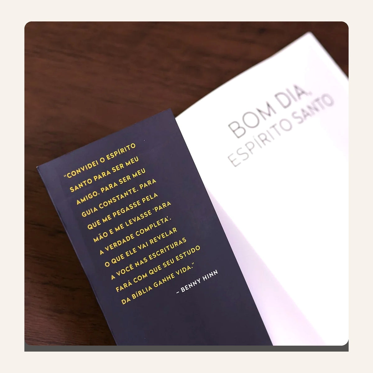 Livro Bom Dia, Espírito Santo — interior e detalhes